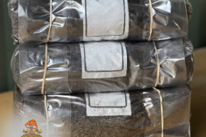 DinoSoil - Tortoise Manure-Enriched Substrate